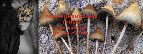 ГАЛЛЮЦИНОГЕННЫЕ ГРИБЫ Балахна