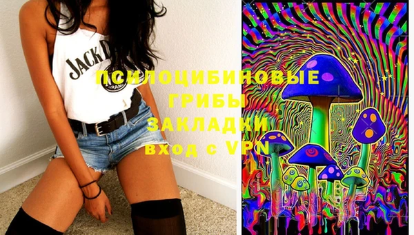 кокс Баксан
