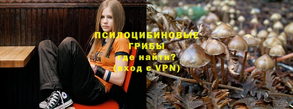 кокс Баксан