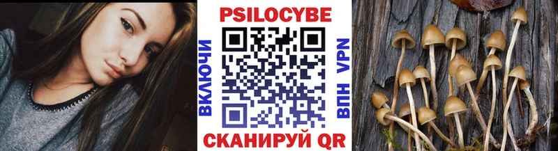 наркошоп  Унеча  Галлюциногенные грибы Psilocybine cubensis 